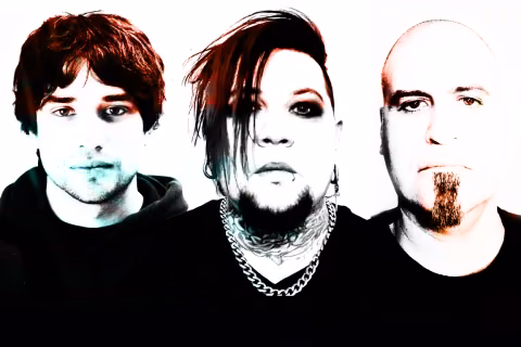SPINESHANK + (HED) P.E.